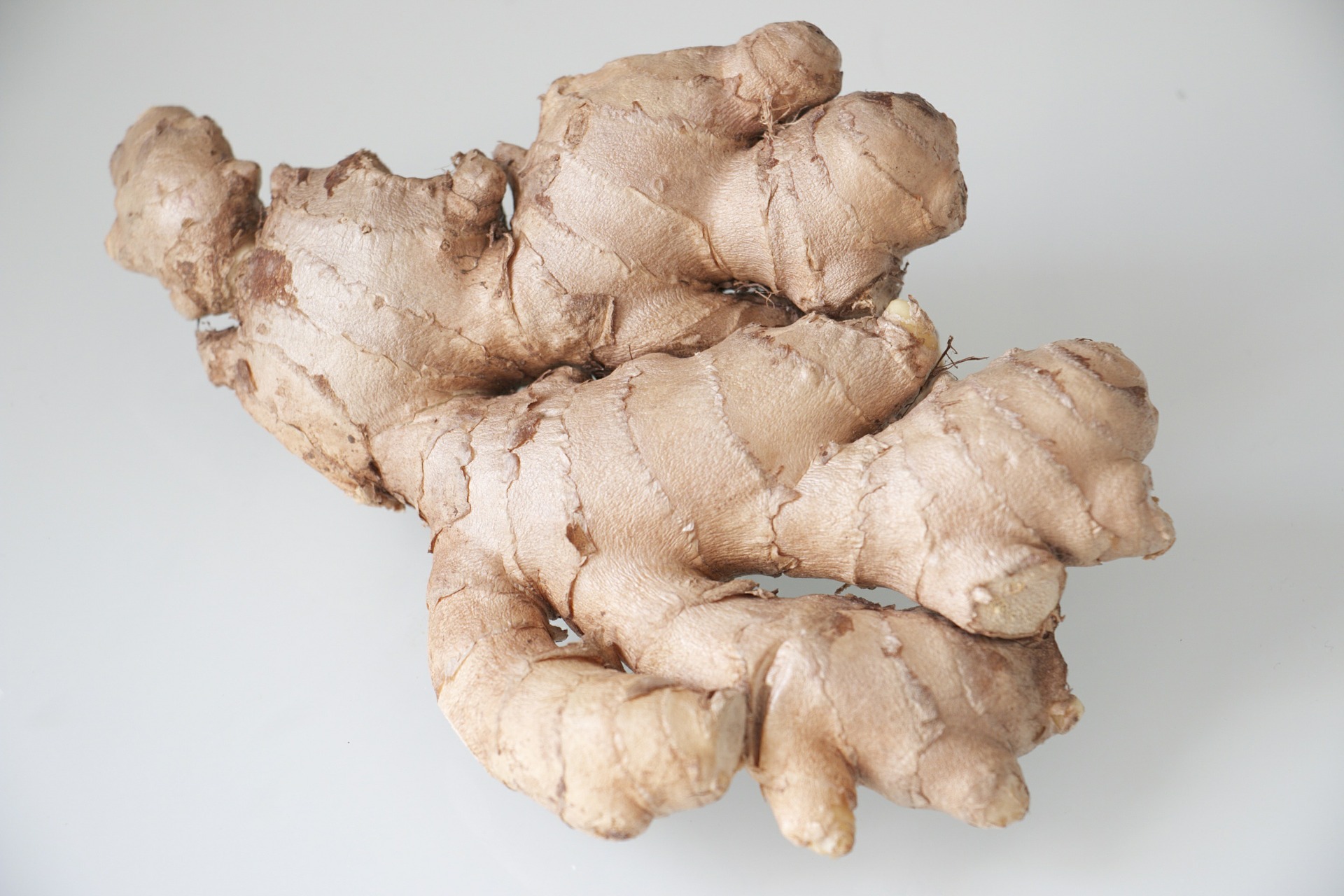 Ginger Rhizome